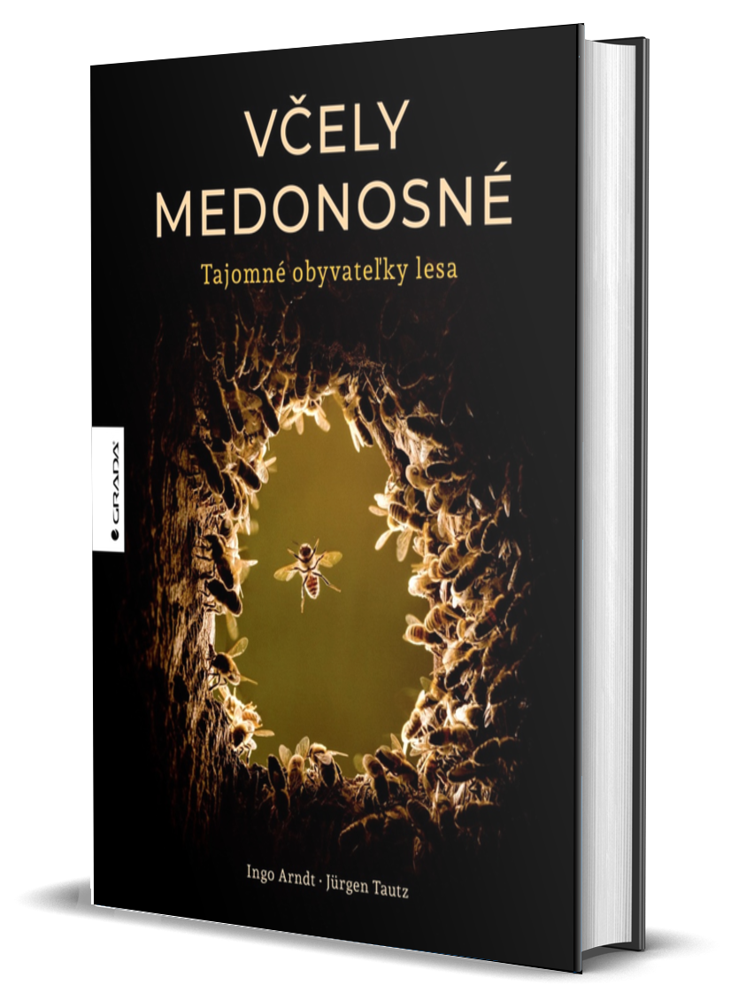 Kniha Včely medonosné