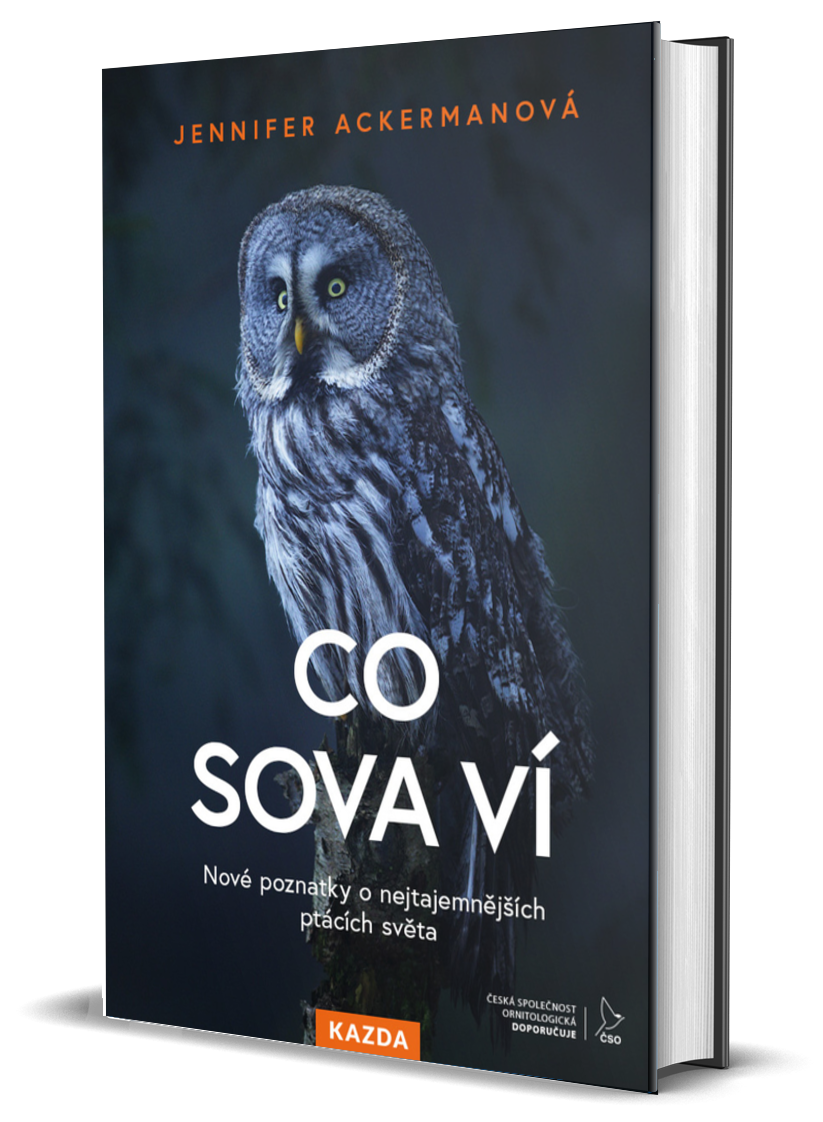 Co sova ví