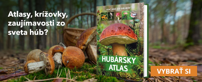Všetko o hubách (knihy o hubách)