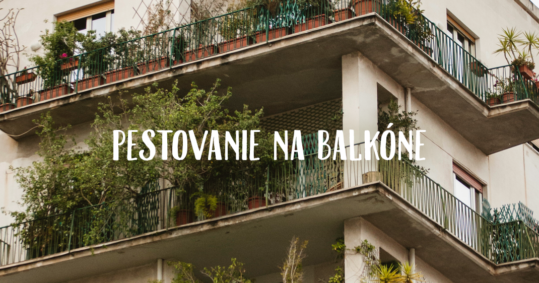 Pestovanie na balkóne