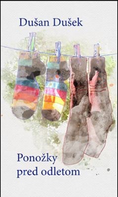 Obálka knihy Ponožky pred odletom