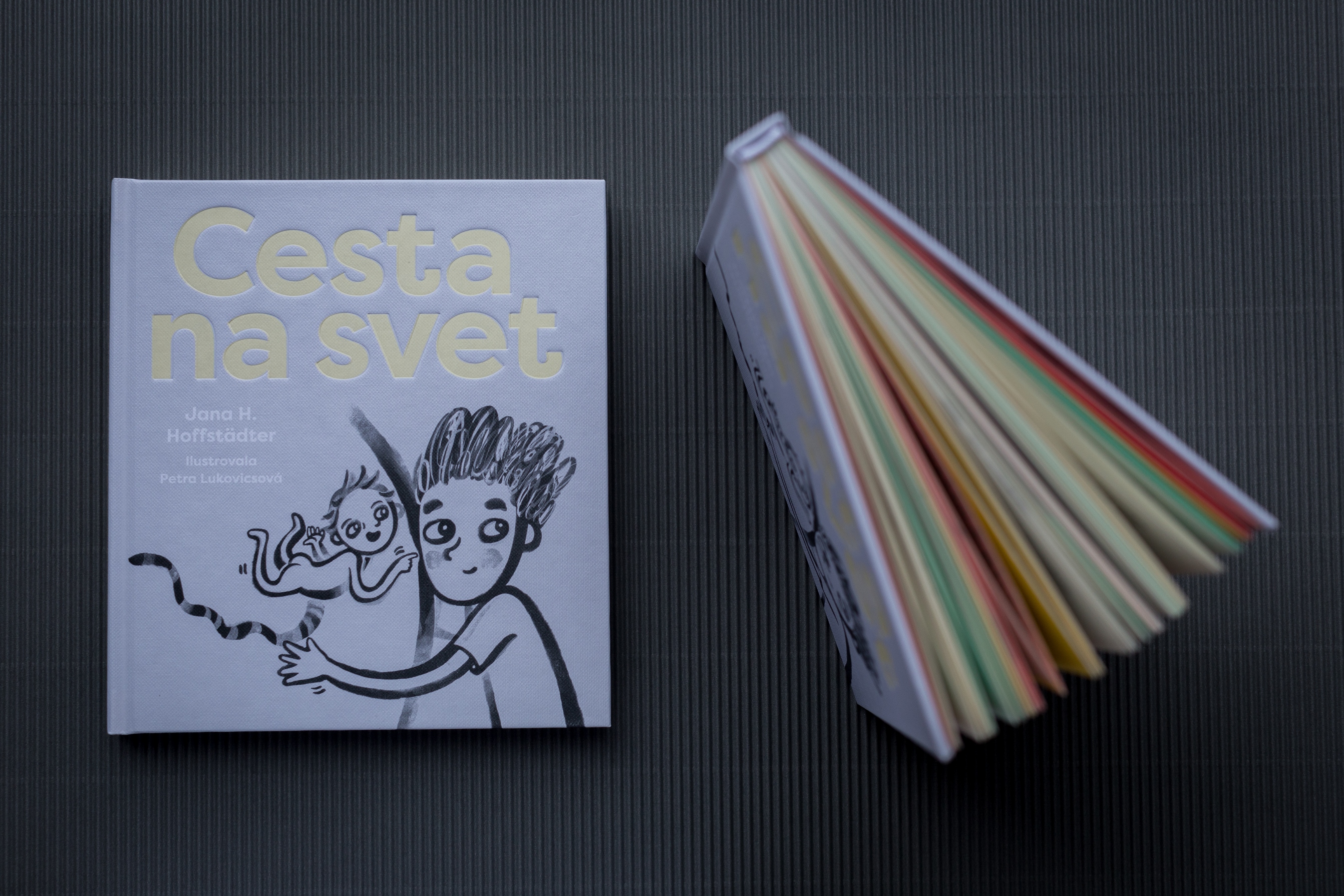 Kniha Cesta na svet