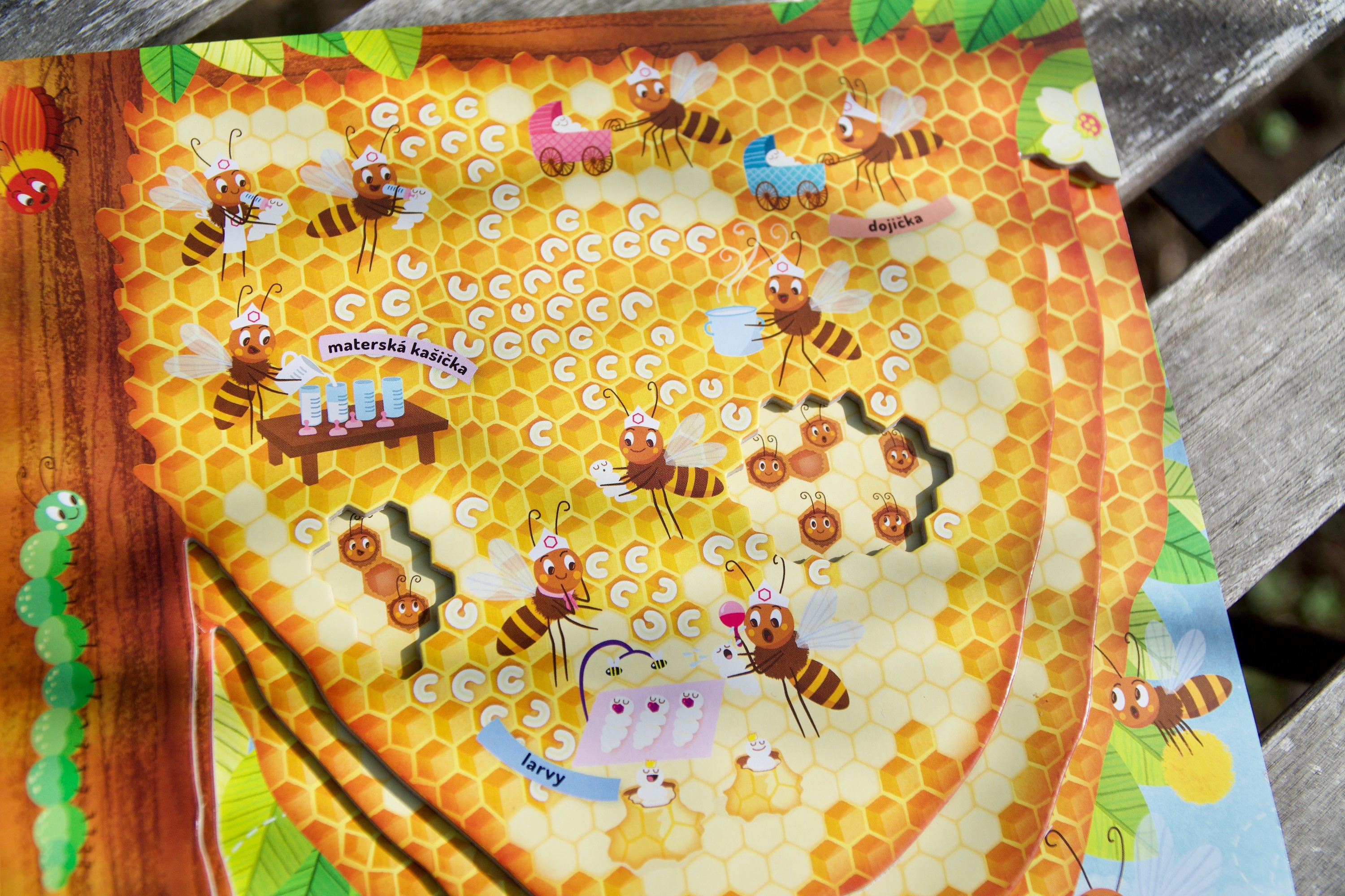 Ukážka z knihy Čo sa deje vo včeľom úli