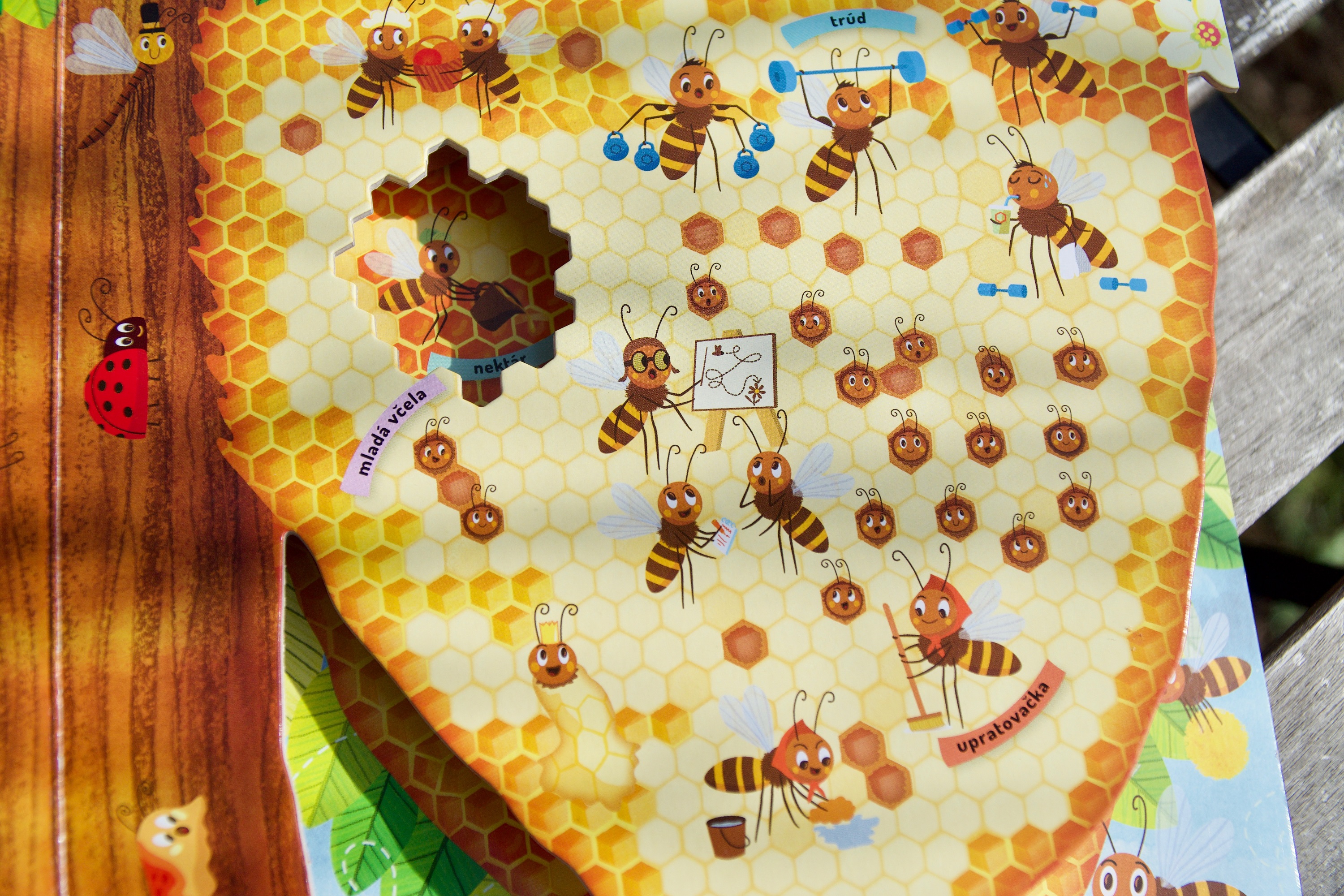 Ukážka z knihy Čo sa deje vo včeľom úli